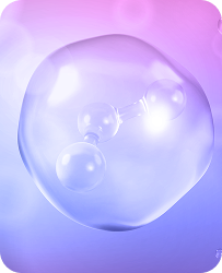 Bubble